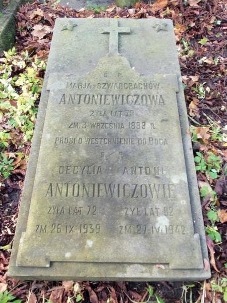 Zdjęcie grobu Antoni Antoniewicz (2)
