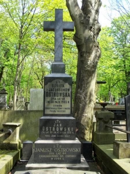 Zdjęcie grobu Zofia Ostrowska (1)
