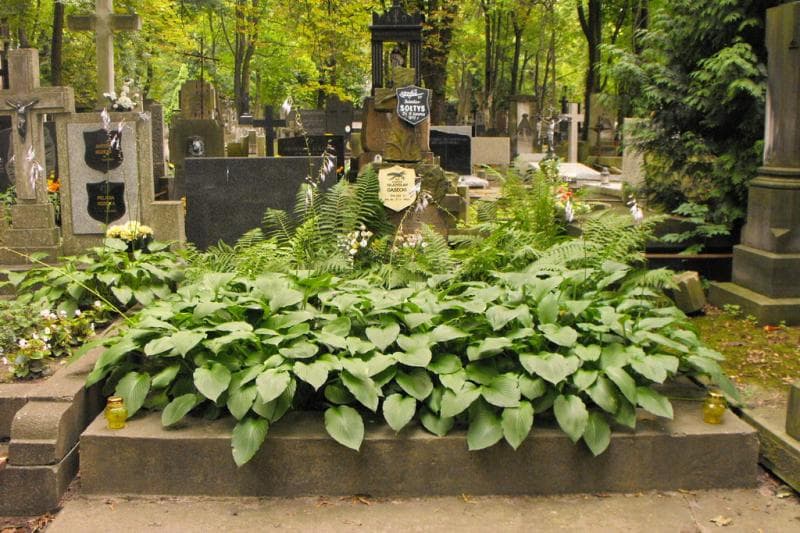 Zdjęcie grobu: Władysław Gąsecki