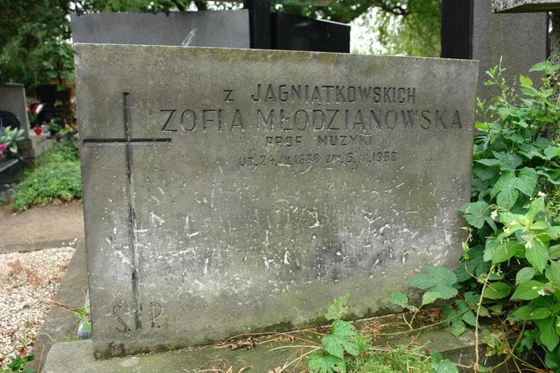 Zdjęcie grobu Zofia Młodzianowska (2)