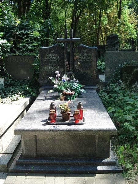 Zdjęcie grobu: Witold Grzejszczyk