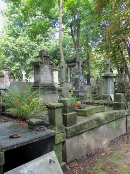 Zdjęcie grobu Aleksander Wachulski (1)