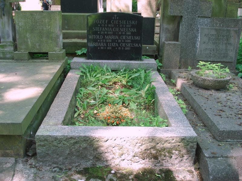 Zdjęcie grobu Józef Ciesielski (1)