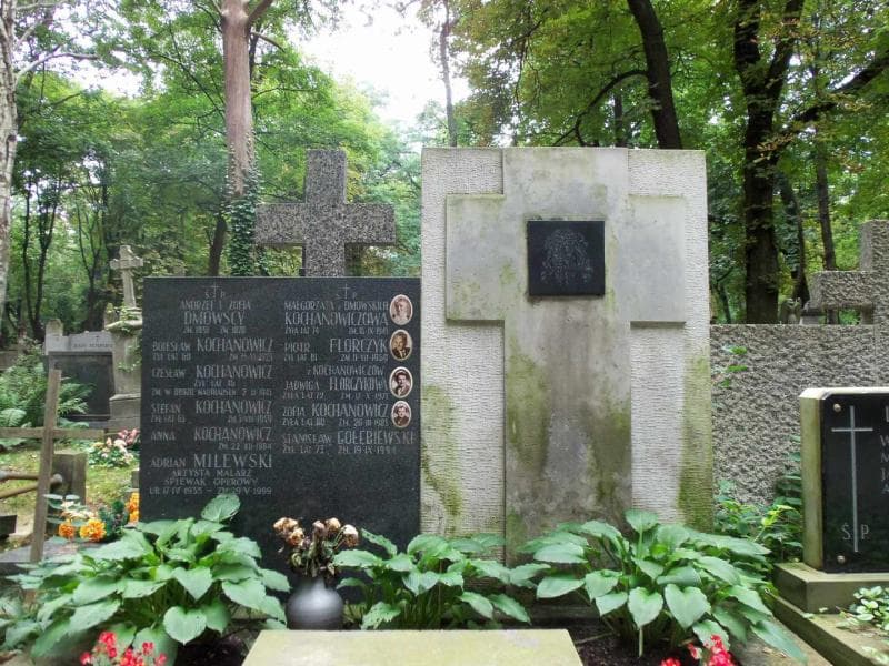 Zdjęcie grobu Andrzej Dmowski (2)