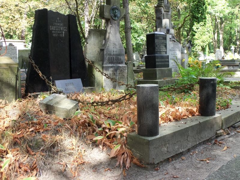Zdjęcie grobu Zygmunt Gabszewicz (1)