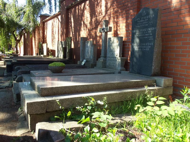 Zdjęcie grobu Maria Załuska (1)