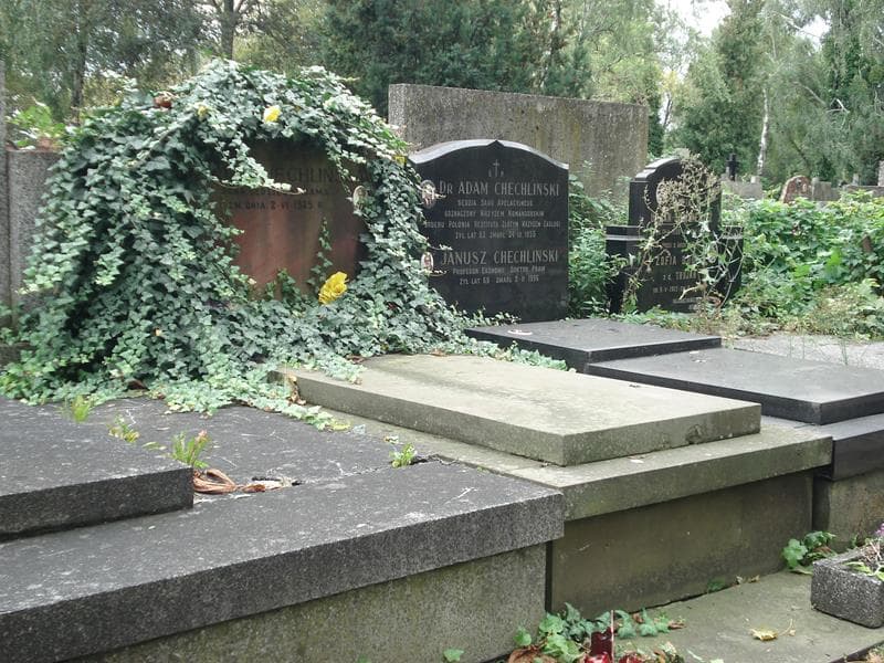 Zdjęcie grobu Maria Chechlińska (1)