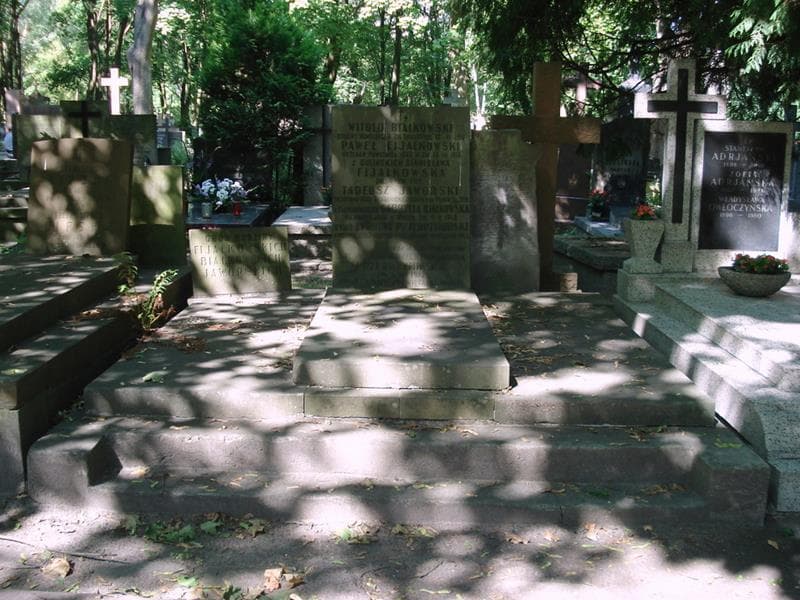Zdjęcie grobu Witold Białkowski (1)
