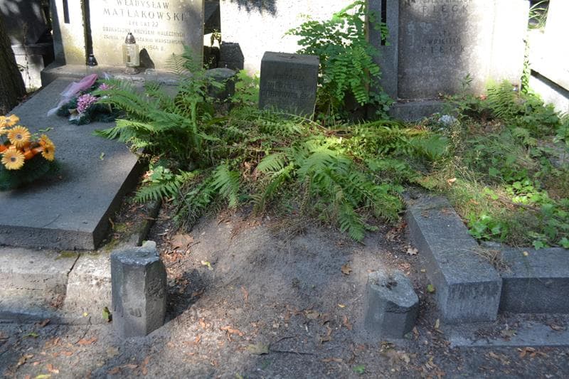 Zdjęcie grobu Wiktorja Dobrowolska (1)