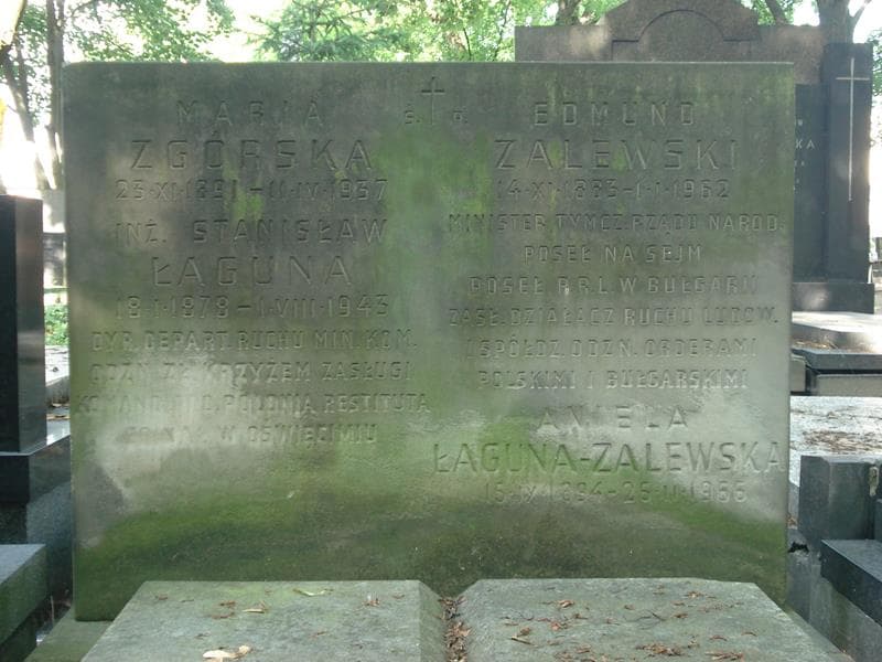 Zdjęcie grobu Maria Zgórska (1)