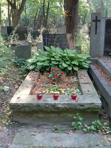 Zdjęcie grobu: Franciszek Żytkiewicz