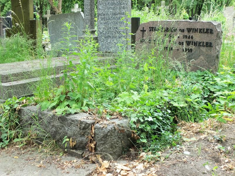 Zdjęcie grobu Stanisław De Winkler (1)