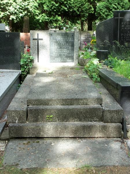 Zdjęcie grobu: Emilia Żmijewska