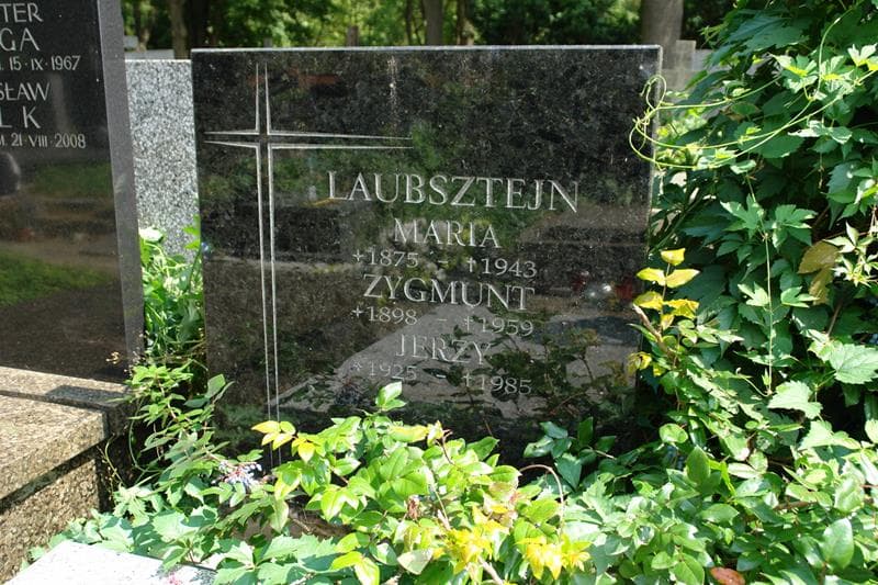 Zdjęcie grobu Maria Laubsztejn (2)