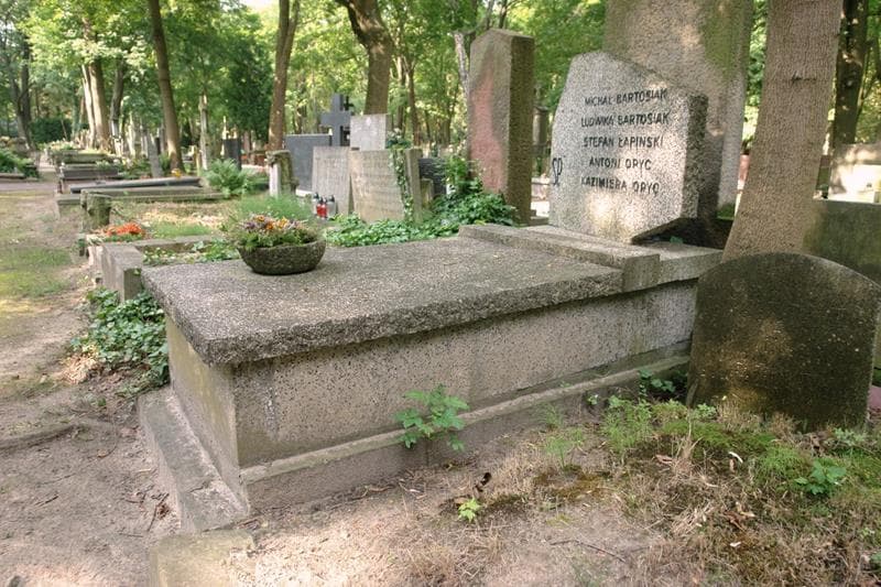 Zdjęcie grobu: Ludwika Bartosiak