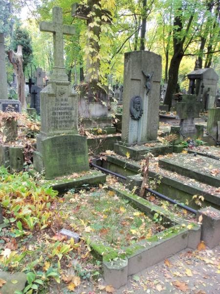 Zdjęcie grobu Henryk Trzciński (1)
