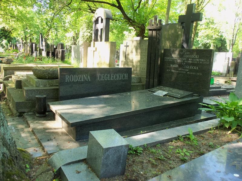Zdjęcie grobu Józef Ceglecki (1)
