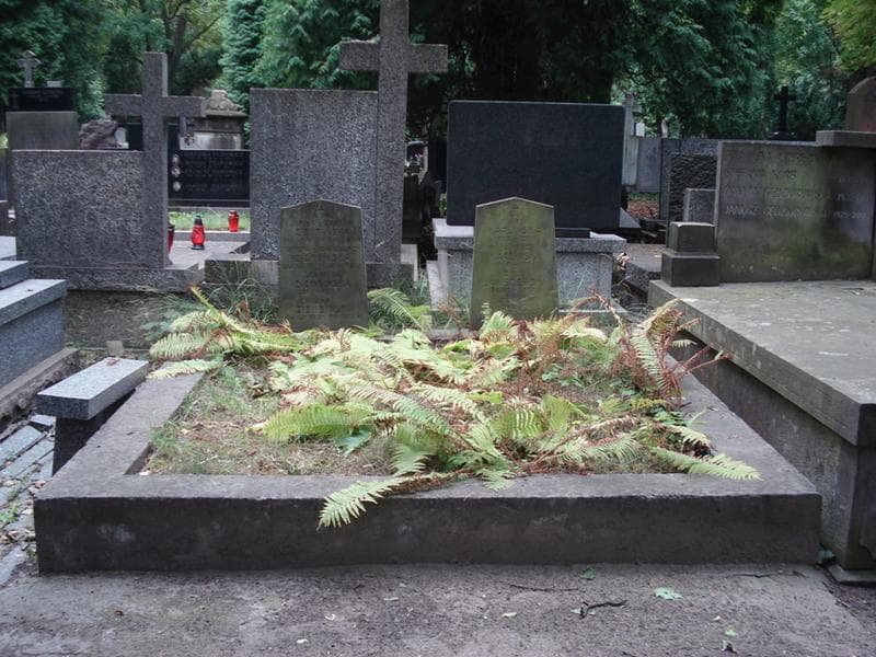 Zdjęcie grobu Emil Janiszewski (1)