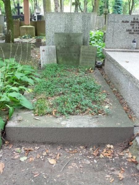 Zdjęcie grobu: Stanisława Donicowa