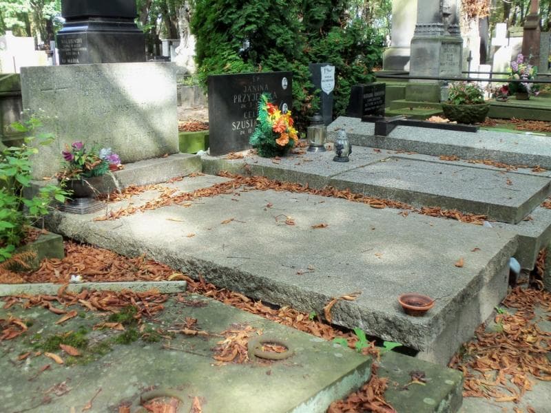 Zdjęcie grobu Maria Rothert (1)