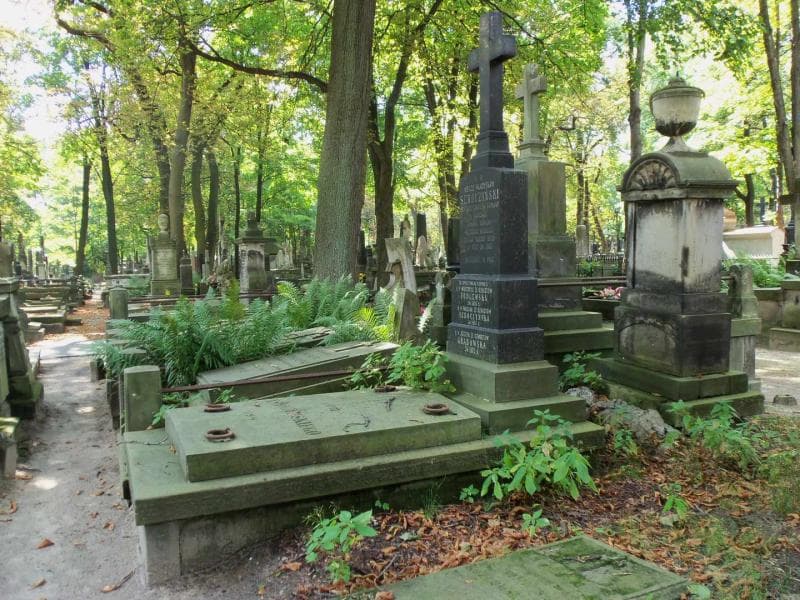 Zdjęcie grobu Wiktorya Podlewska (1)