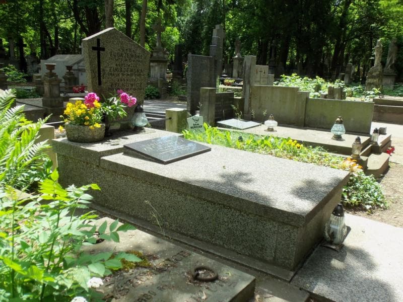 Zdjęcie grobu Antoś Żugajewski (1)