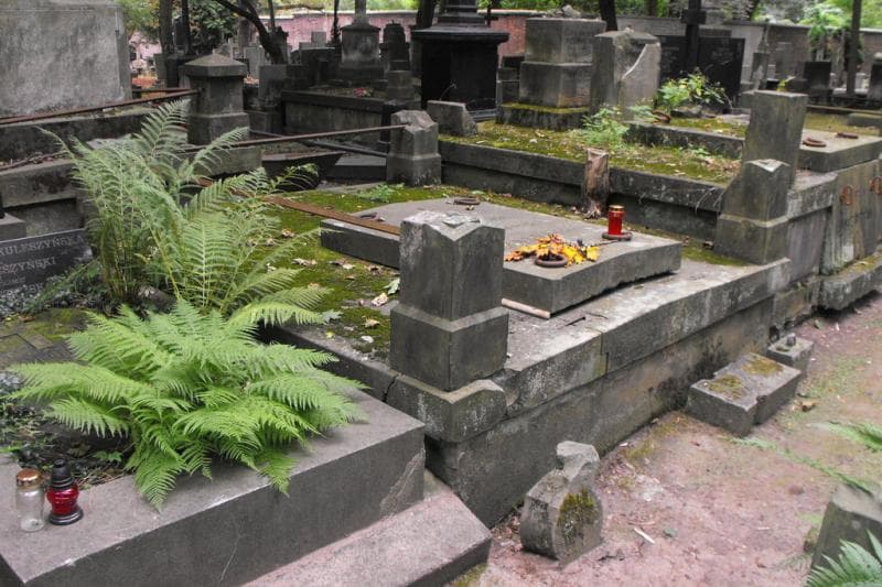 Zdjęcie grobu Aleksander Strasburger (1)