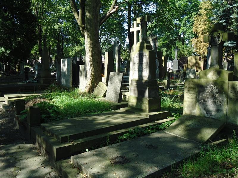 Zdjęcie grobu Maria Zawitniewicz (1)