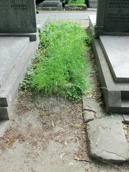 Zdjęcie grobu: Pole Grobowe