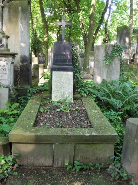Zdjęcie grobu: Feliks Drozdzicki