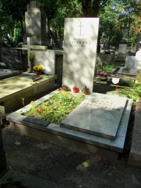 Zdjęcie grobu: Andrzej Siciński