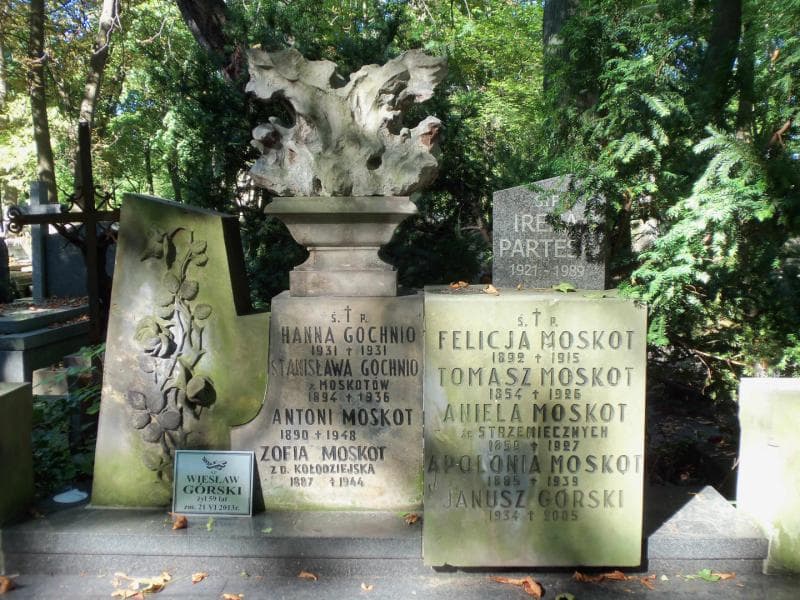 Zdjęcie grobu Janusz Aleksander Górski (2)