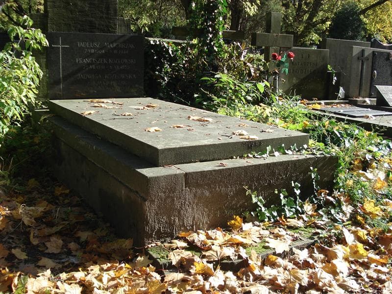 Zdjęcie grobu Jadwiga Kozłowska (1)
