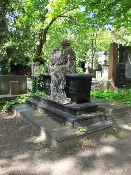 Zdjęcie grobu Zofia Podczaska (1)