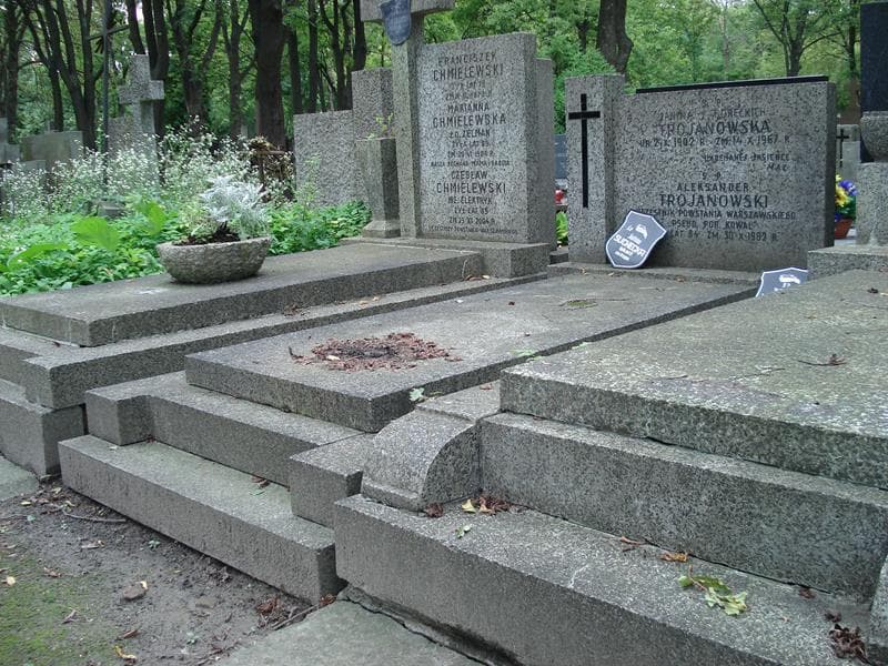 Zdjęcie grobu Aleksander Trojanowski (1)