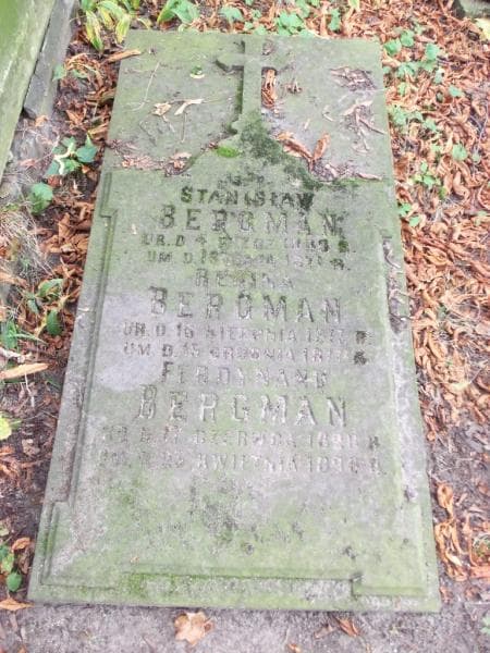 Zdjęcie grobu Regina Bergman (1)