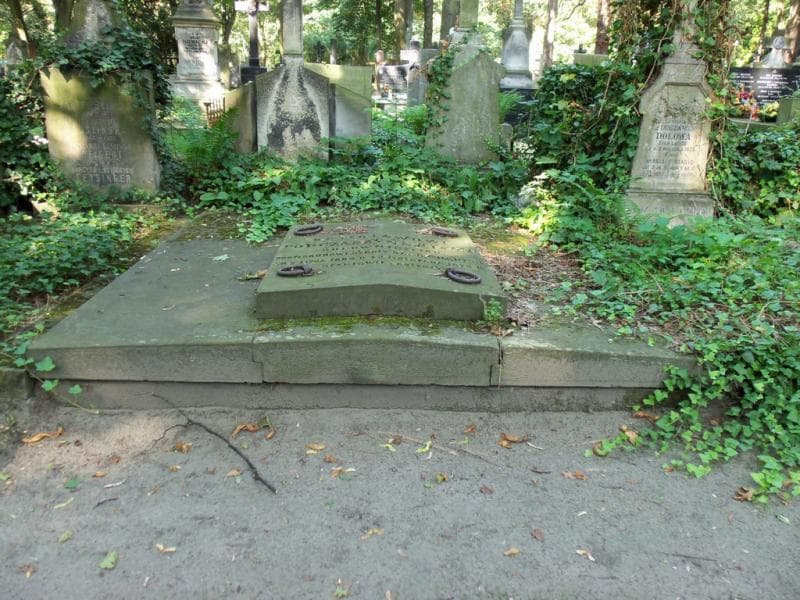 Zdjęcie grobu: Bolesław Podczaszyński