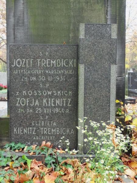 Zdjęcie grobu Józef Trembicki (2)