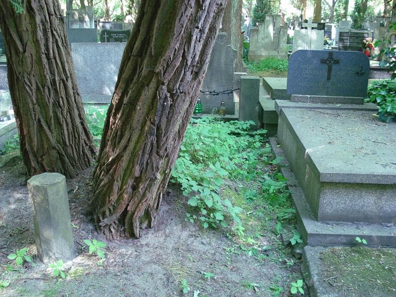 Zdjęcie grobu: Pole Grobowe