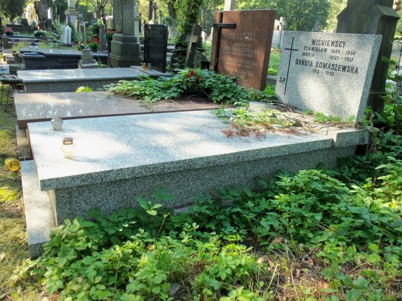 Zdjęcie grobu Danuta Domaszewska (1)