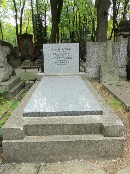 Zdjęcie grobu: Kazimierz Sawicki