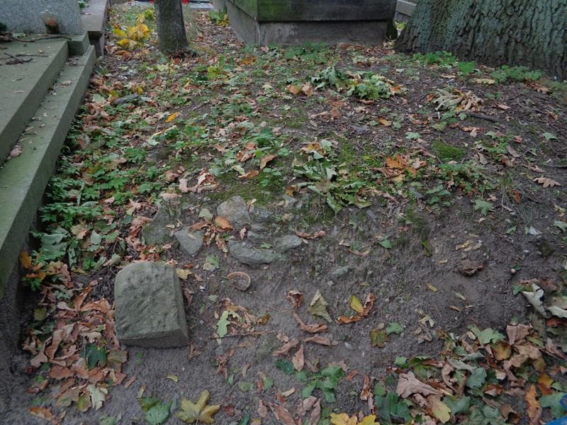 Zdjęcie grobu Pole Grobowe (1)