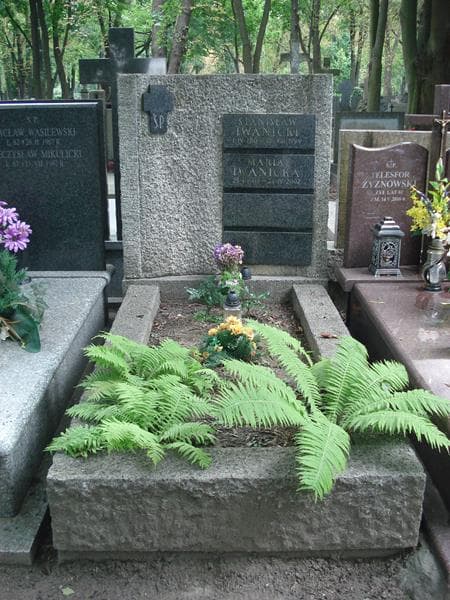 Zdjęcie grobu Maria Iwanicka (1)