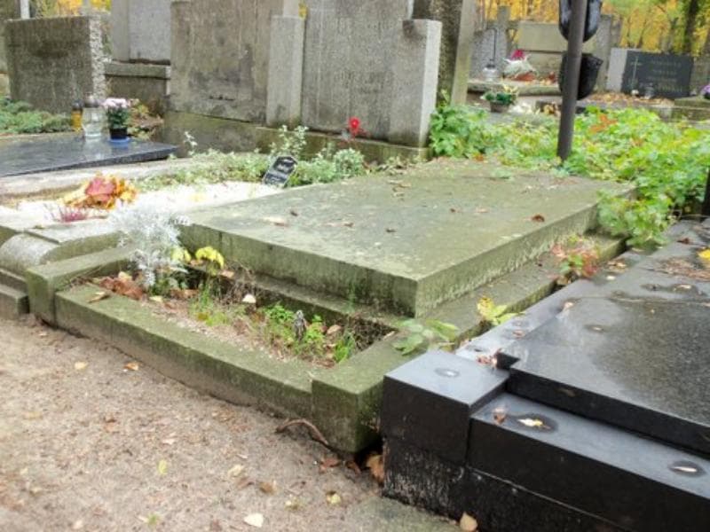 Zdjęcie grobu Zofia Sawicka (2)