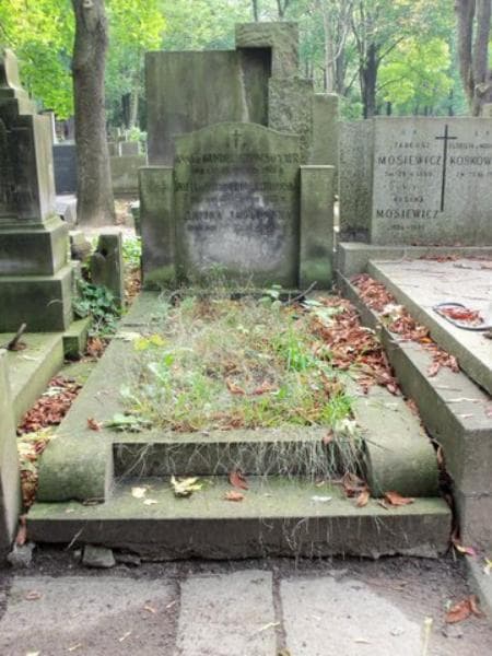 Zdjęcie grobu: Zofia Jabłońska