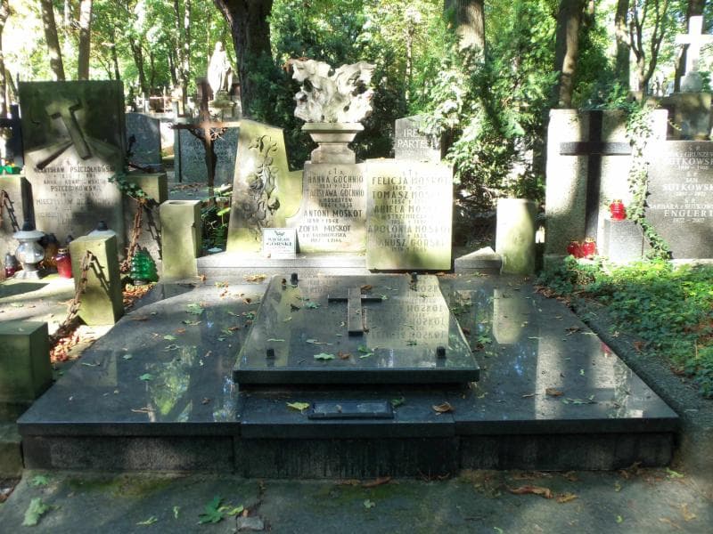 Zdjęcie grobu: Janusz Aleksander Górski