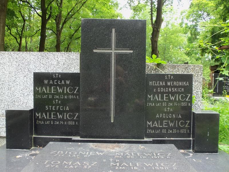 Zdjęcie grobu Stanisław Malewicz (2)