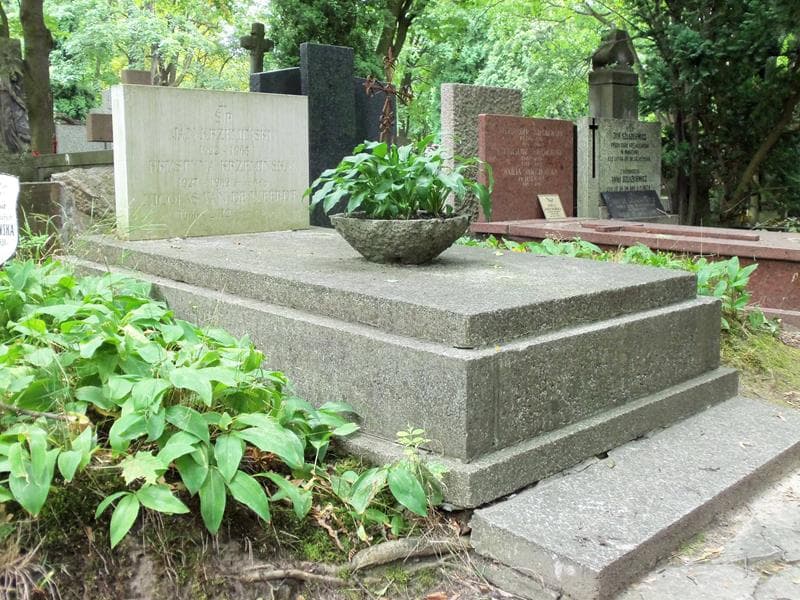 Zdjęcie grobu Jan Krzemiński (1)