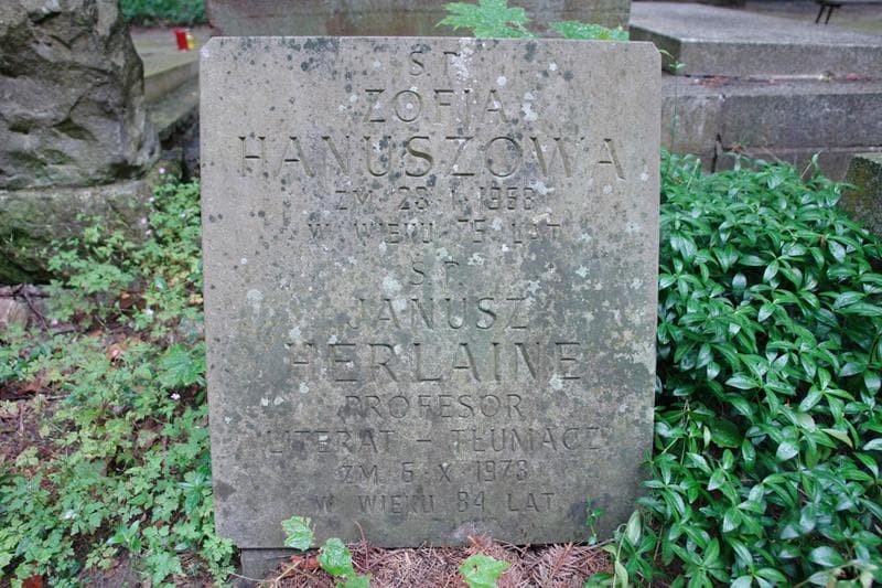 Zdjęcie grobu Jerzy Herlaine (2)