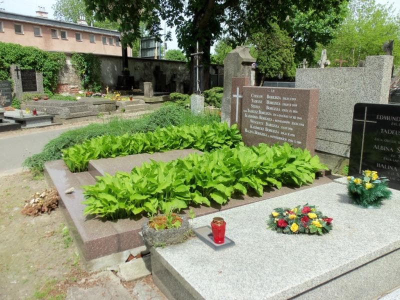 Zdjęcie grobu Stefan Borejsza (1)